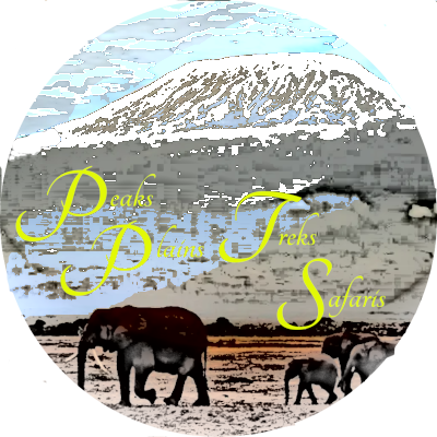 PPTS Logo